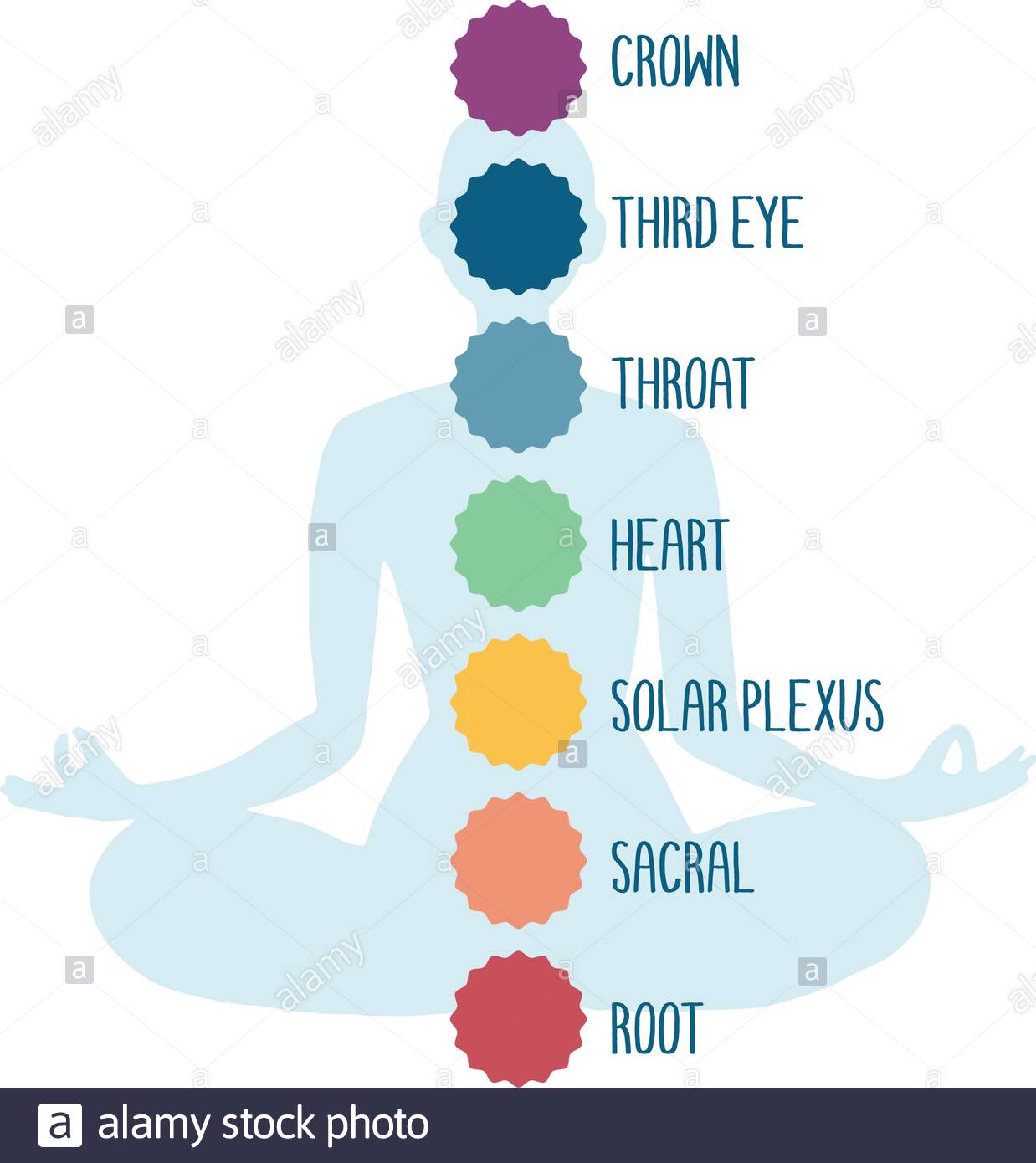 What is a chakra and why does it matter?