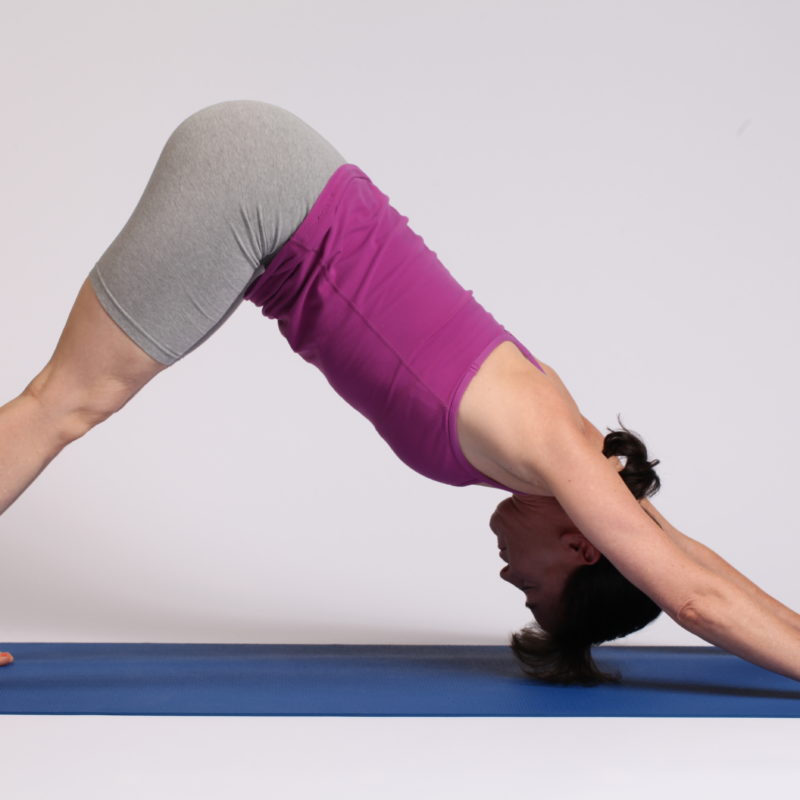 Downward Facing Dog pose