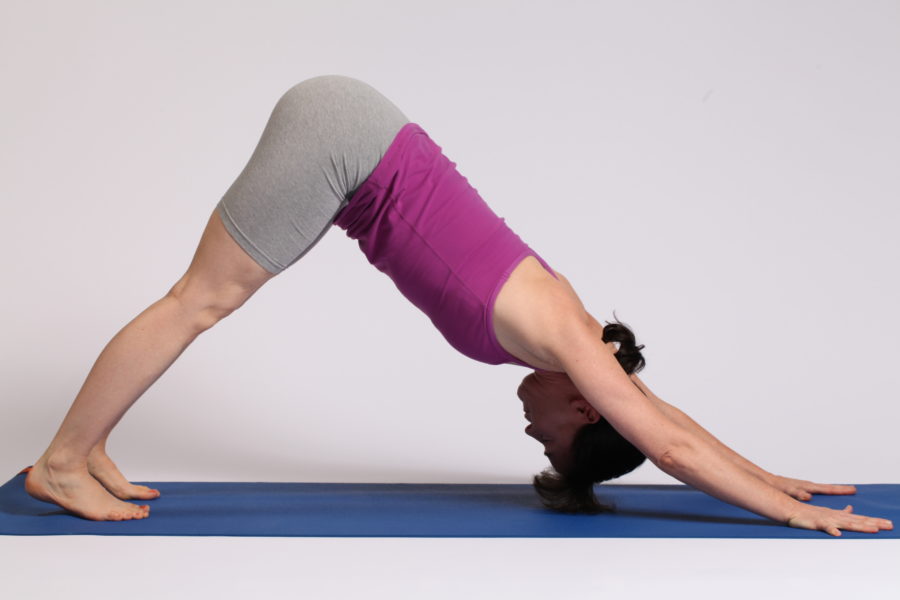 Downward Facing Dog pose