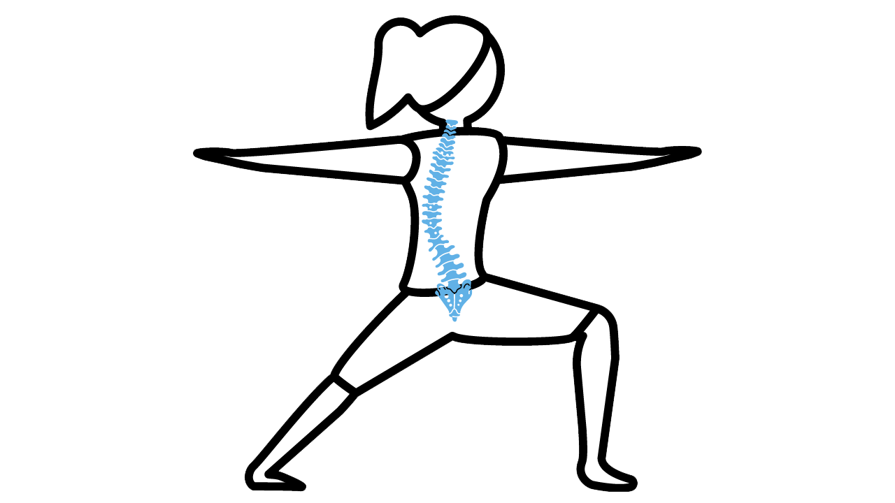 Yoga for Scoliosis in Victoria and Online with Kathryn Kusyszyn - Yogakat